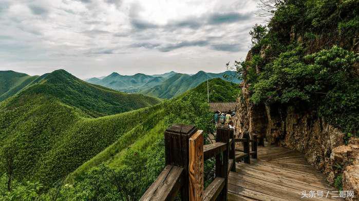 从身到心的清净！国内最美竹海你都去过吗？