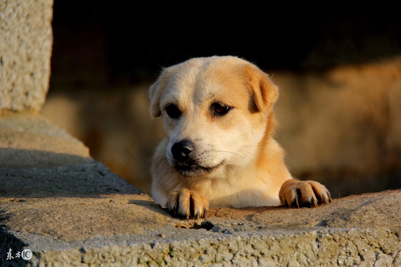 安泰中心真实成交价格,安泰房价一览表