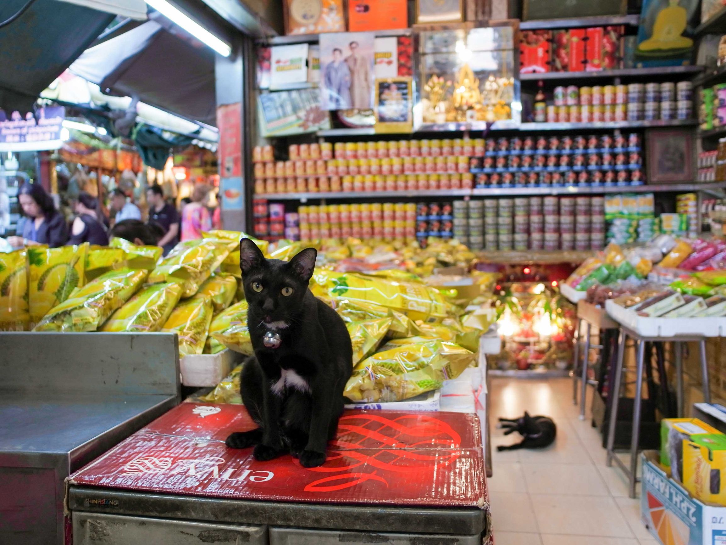 小微单入门,索尼a5100和佳能m10对比