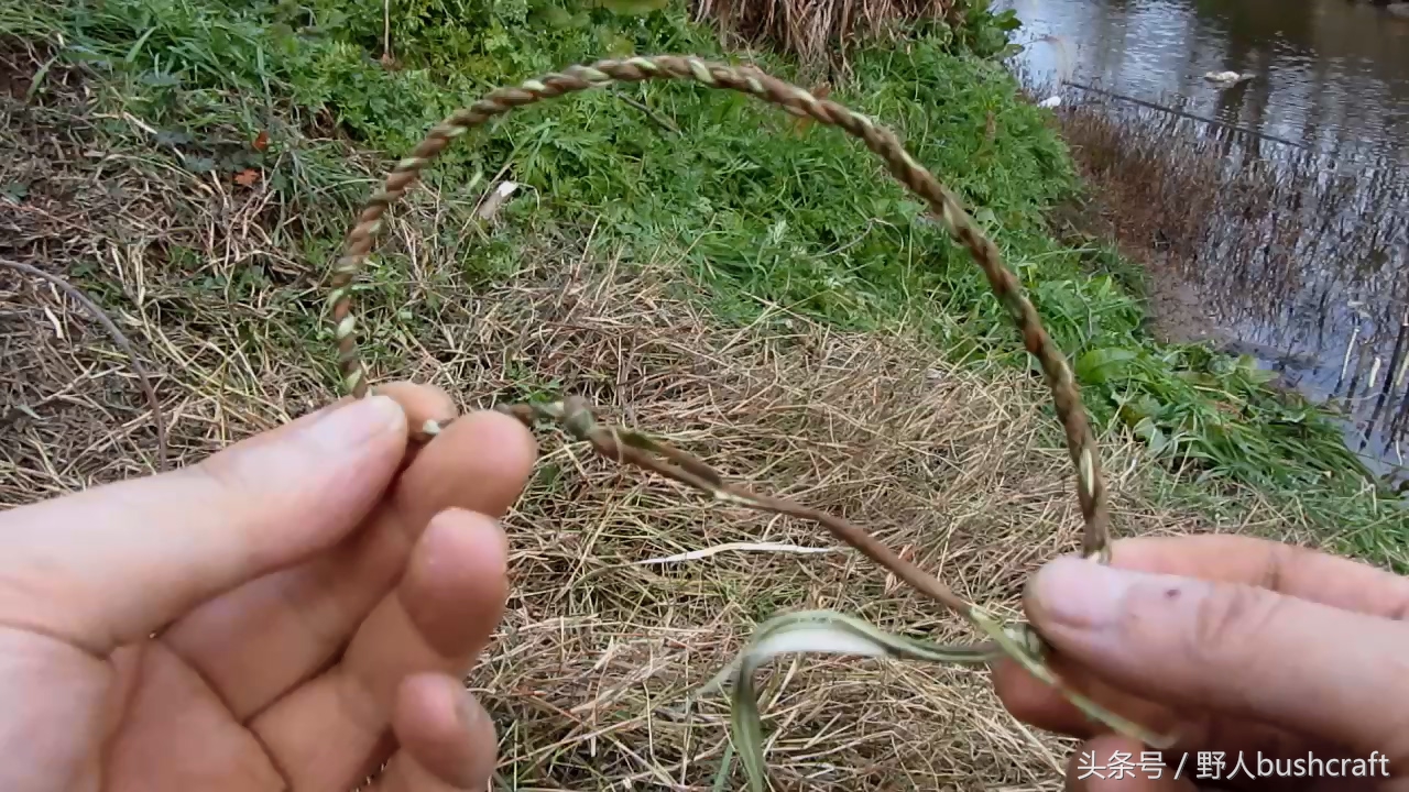 两种有效的野外捕鱼陷阱，抓不到鱼小编嫁给你！