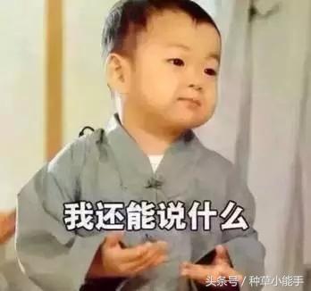 娜扎白到发光完整版,想像古力娜扎一样白得发光