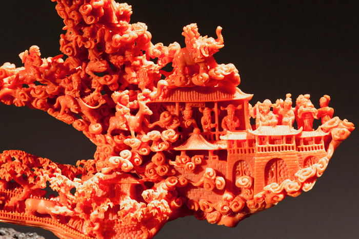 有机宝石珊瑚介绍,珊瑚宝石是什么