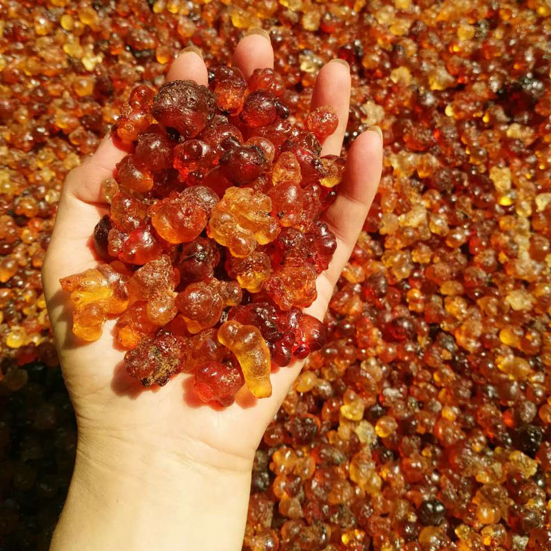 桃胶里的桃花泪,桃树上的桃胶怎么吃最好