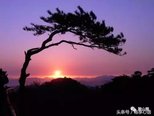 对不起，我要去鞍山了，别再找我了！