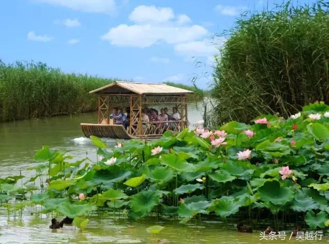 补水效果超级好的清爽水,超舒服的补水方法