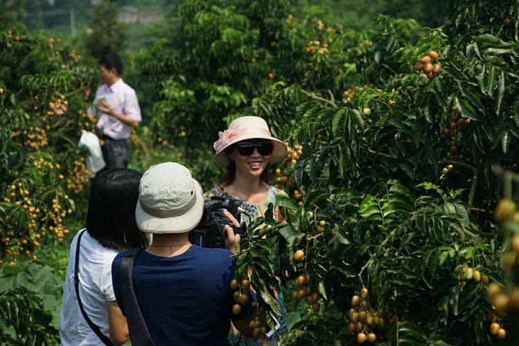 瀵诲懗閮佸崡鍘垮煄,瀵诲懗椤哄痉榛勭毊