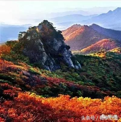 对不起，我要去鞍山了，别再找我了！