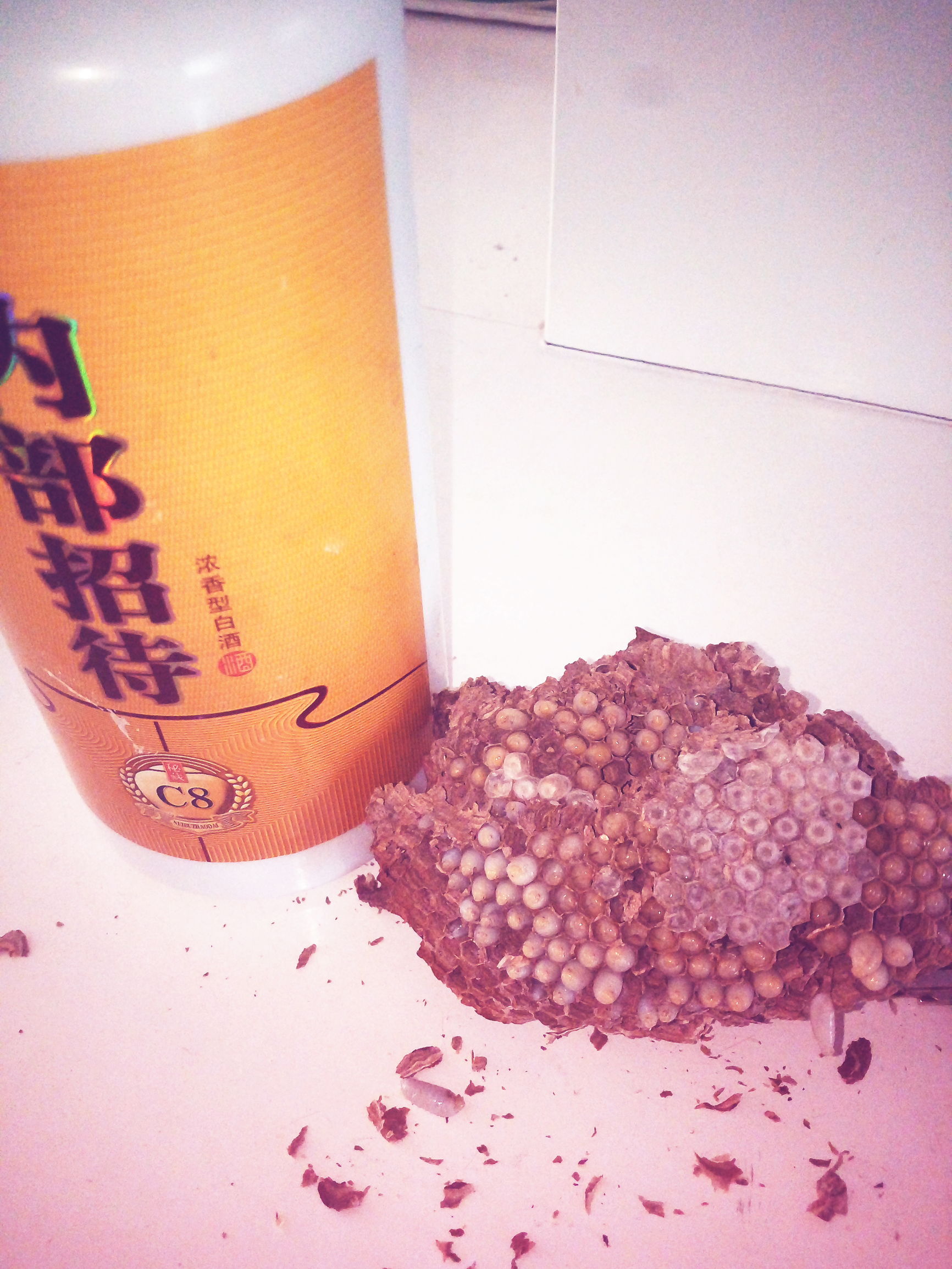 替24岁小姨子出气怒捅马蜂窝，白吃大肉饼还得到一宝贝