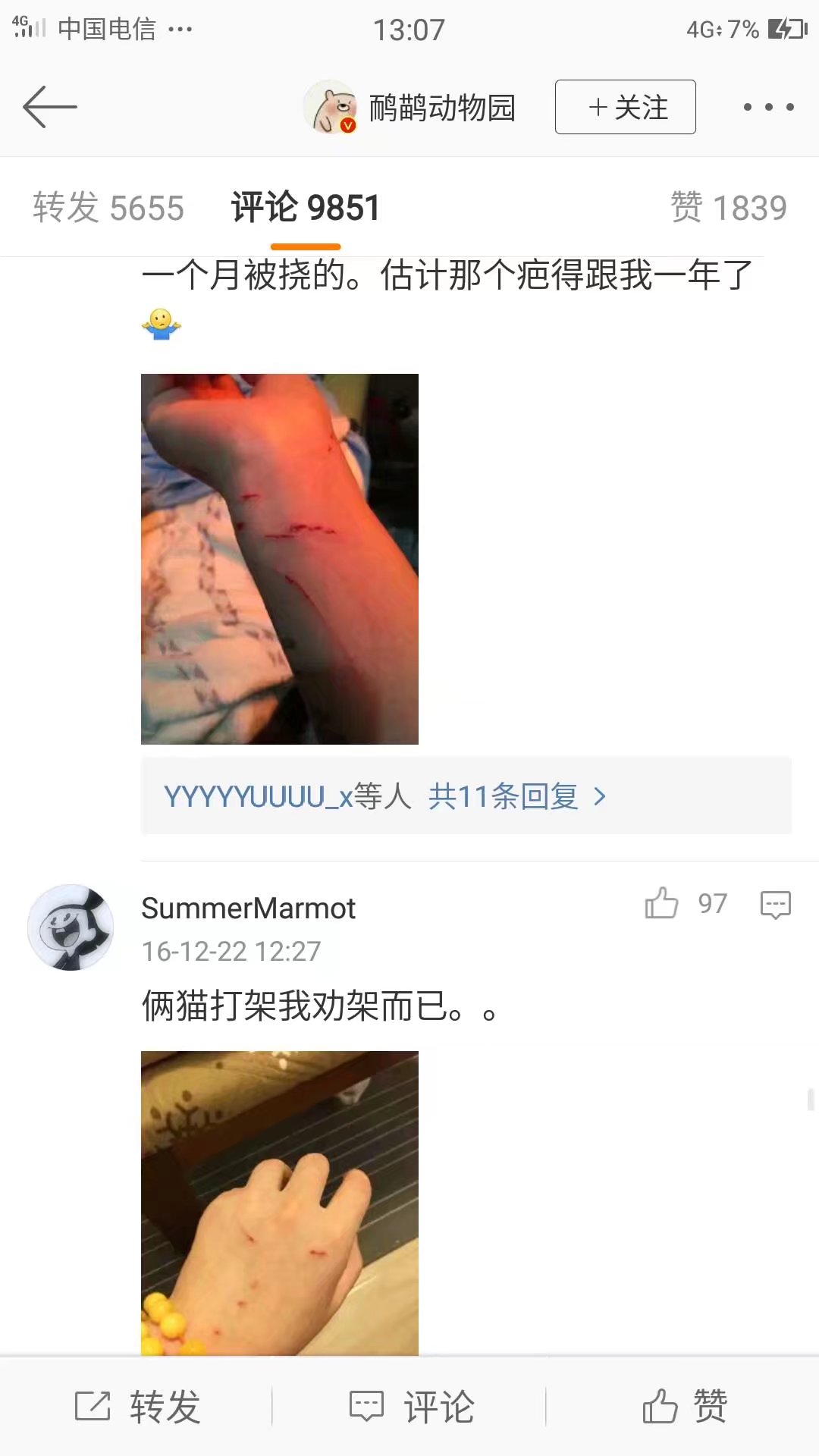 撸猫会不会上瘾,撸猫的正确撸法