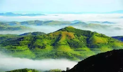 海阳最有魅力的人,海阳的美