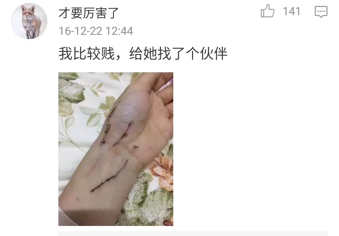 撸猫会不会上瘾,撸猫的正确撸法