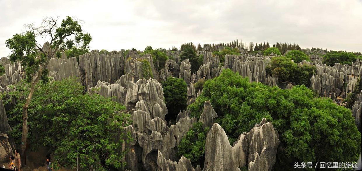 广东阳春旅游,去广东阳春旅游攻略