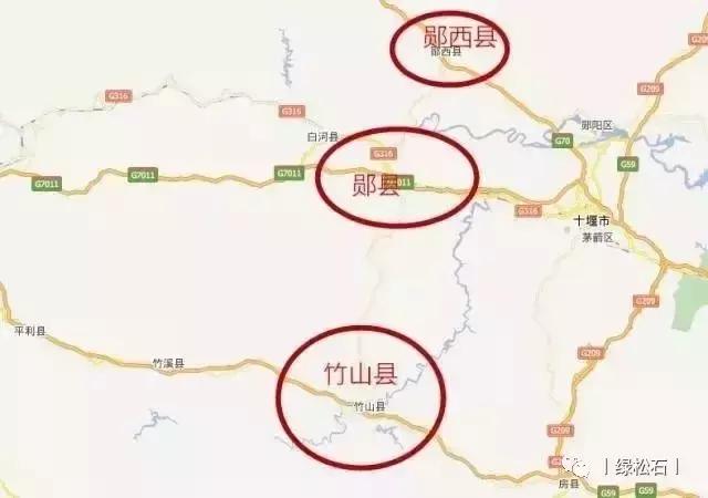 湖北松菌最多的地方,湖北松是什么意思