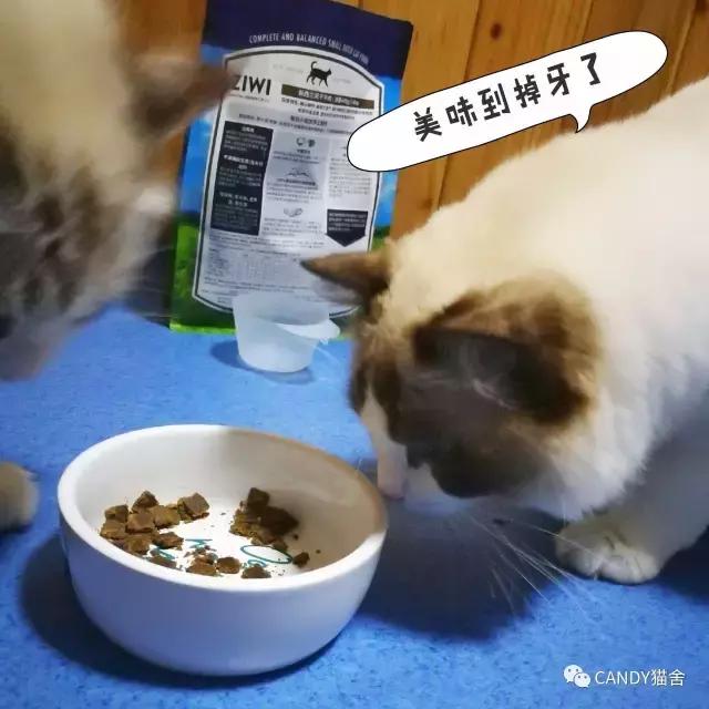 体验报告,猫生烘焙猫粮测评