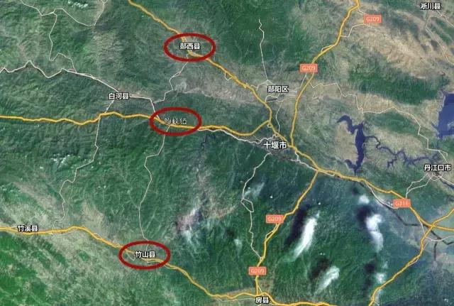 湖北松菌最多的地方,湖北松是什么意思