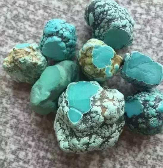 湖北松菌最多的地方,湖北松是什么意思