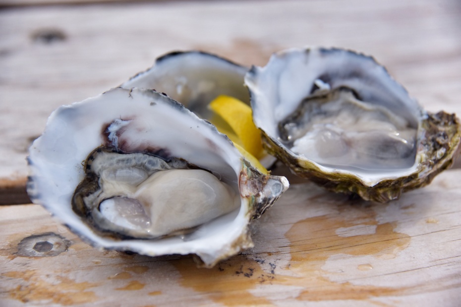 南大洋的深海,南大洋海域