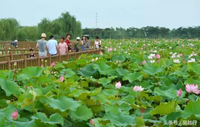 补水效果超级好的清爽水,超舒服的补水方法