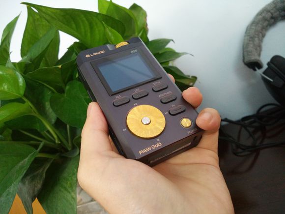 耳边评测图文,乐图金菊花拆解