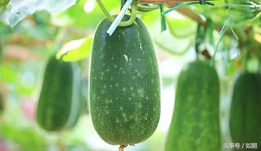 燥热晚上睡不着,燥热的人晚上怎么睡觉