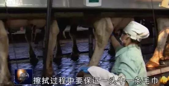 国内的奶粉还能买吗,现在还能买国外原装进口奶粉吗