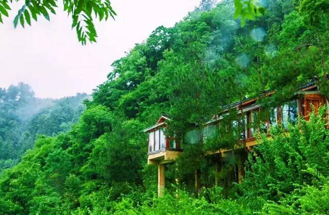 一对夫妻，在《阿凡达》的取景地，改造老宅，收获了完美的人生