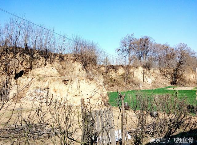 洛阳偃师有几个镇,洛阳偃师简介