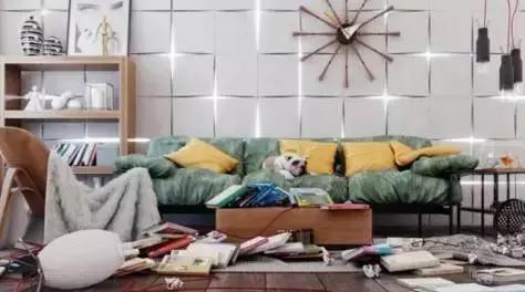 英斗怎么养,英斗如何养