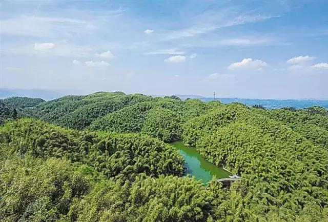 乐山夏季又避暑又好吃的地方,乐山本地人都去哪里吃美食