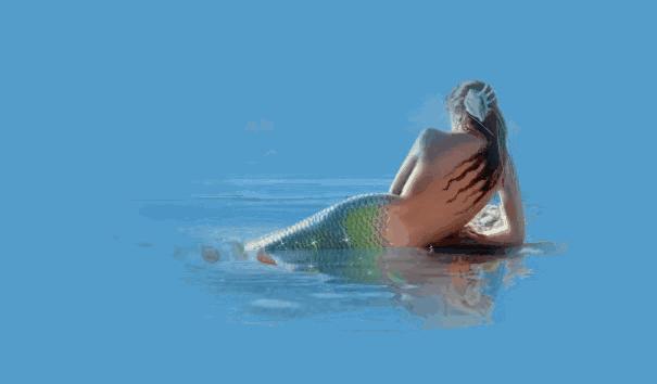 别以为推出美人鱼化妆刷就能骗我钱！