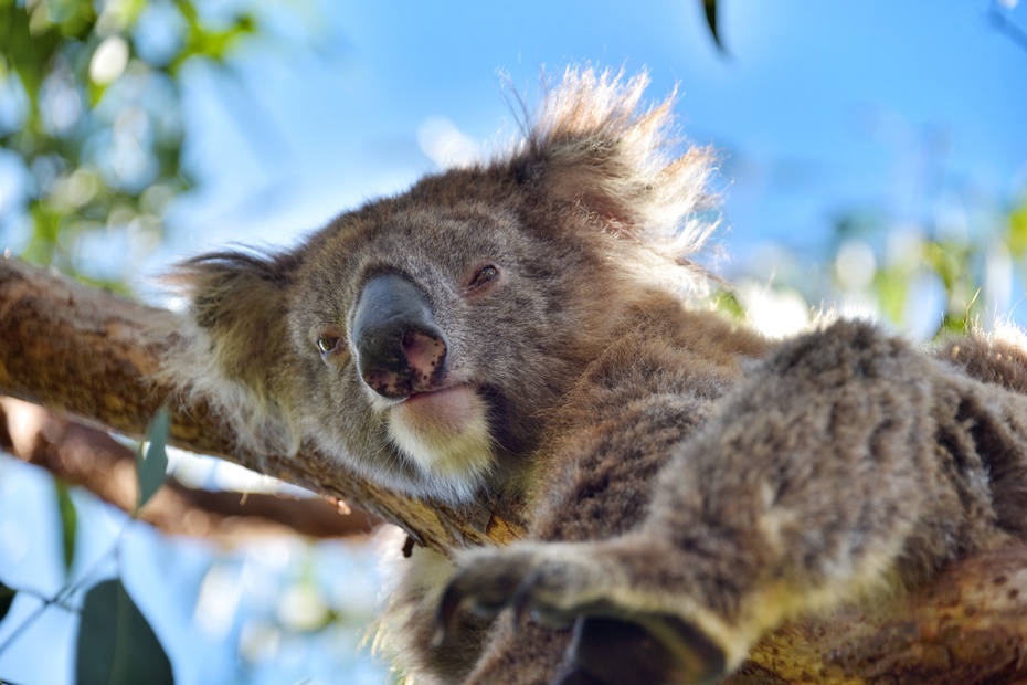 南大洋的深海,南大洋海域