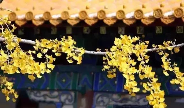 济南这条街属于多少人的回忆,济南一条街