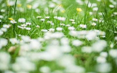 赖世雄中级英语入门教程,赖世雄中级美语教程第一课