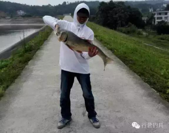 半价活动快来抢购,半价狂欢活动来袭