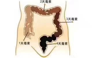 孕妇便秘严重会导致胎毒加重吗,孕期便秘会导致胎儿缺氧吗