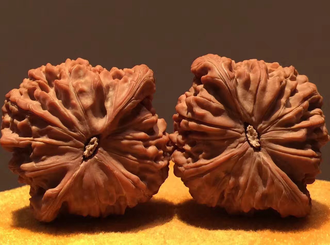 正磨盘狮子头和歪磨盘的区别,玩了十年的磨盘狮子头