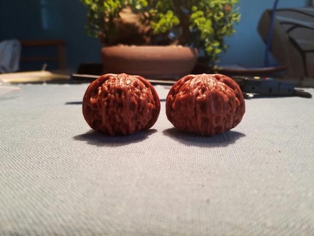 正磨盘狮子头和歪磨盘的区别,玩了十年的磨盘狮子头