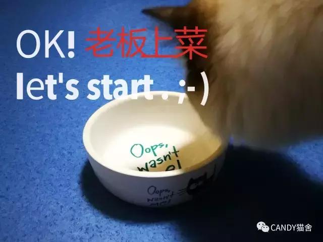 体验报告,猫生烘焙猫粮测评