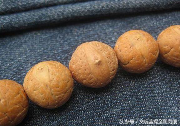 凤眼菩提三眼菩提,正圆老凤眼菩提