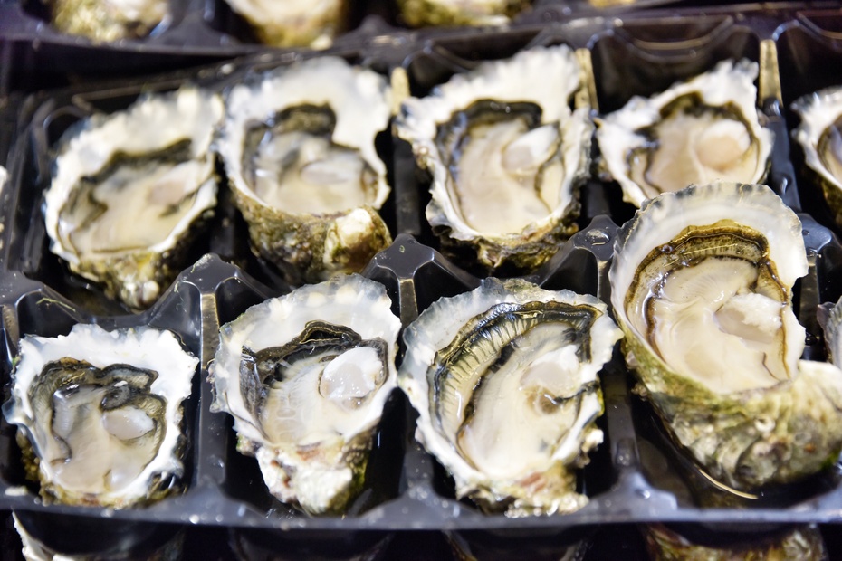 南大洋的深海,南大洋海域