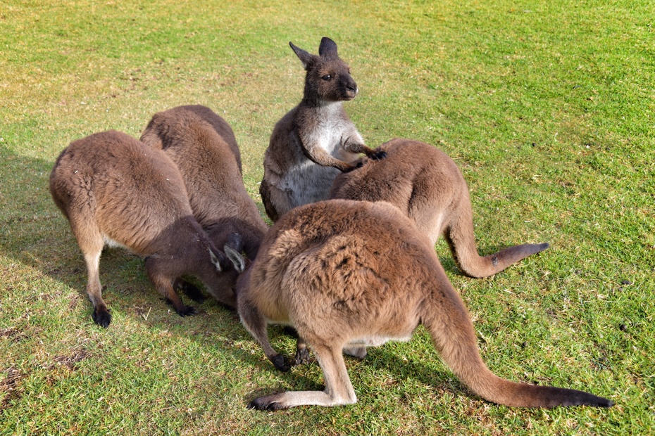 南大洋的深海,南大洋海域