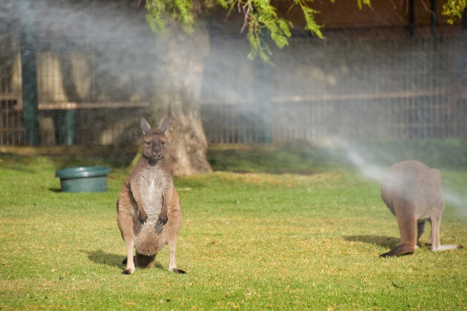 南大洋的深海,南大洋海域