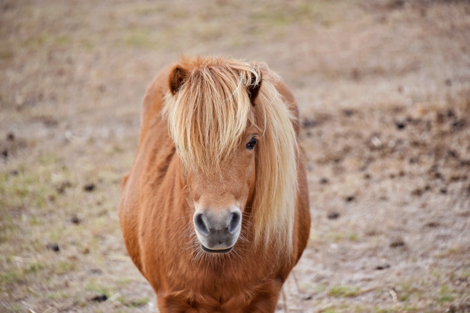 南大洋的深海,南大洋海域
