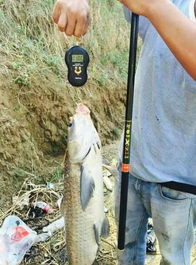 半价活动快来抢购,半价狂欢活动来袭