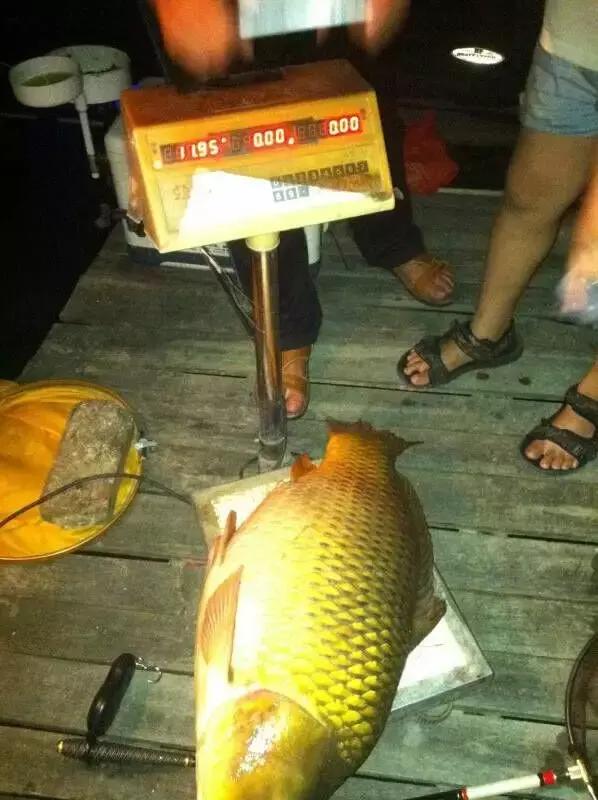 半价活动快来抢购,半价狂欢活动来袭