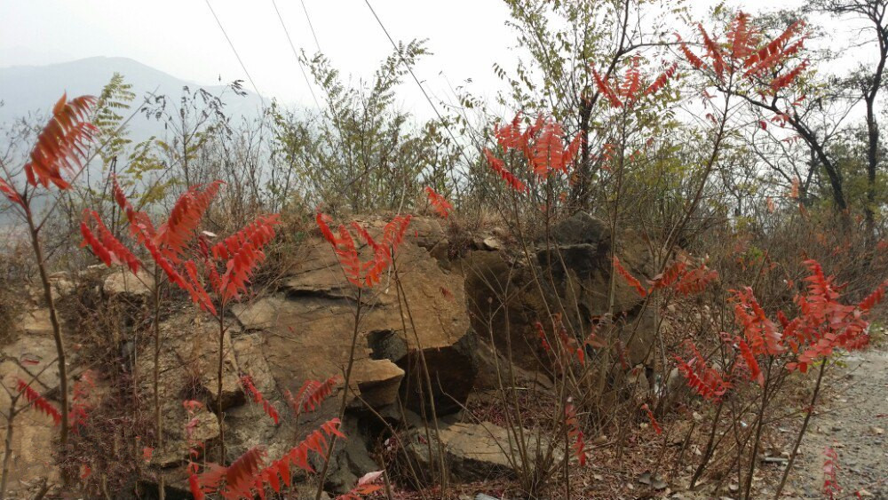 莱芜房干生态景区怎么样,莱芜房干山自然风光