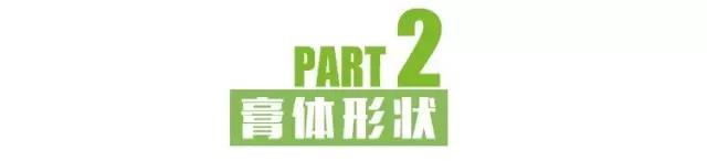 狮王牙膏推荐哪款,全球10款真正好用的人气牙膏参半