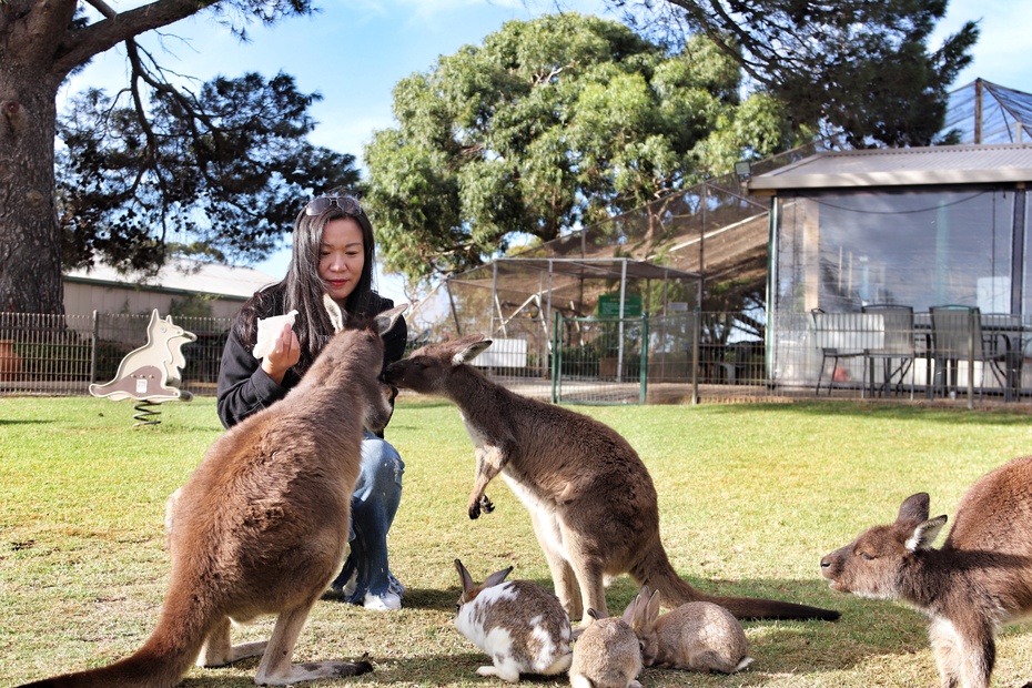 南大洋的深海,南大洋海域