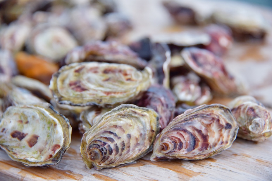 南大洋的深海,南大洋海域