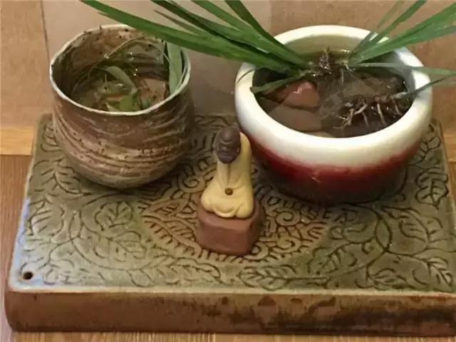 阳台改造茶室衣服怎么晒,阳台改造茶室效果图